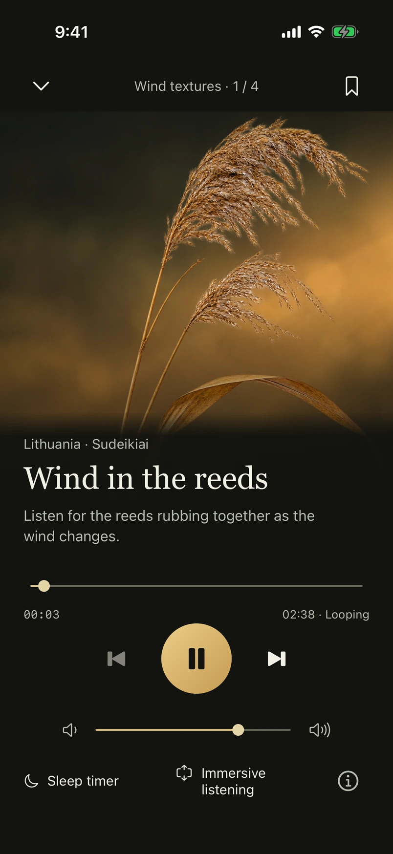 Still Atlas player showing golden reeds, playback progress and pause controls.